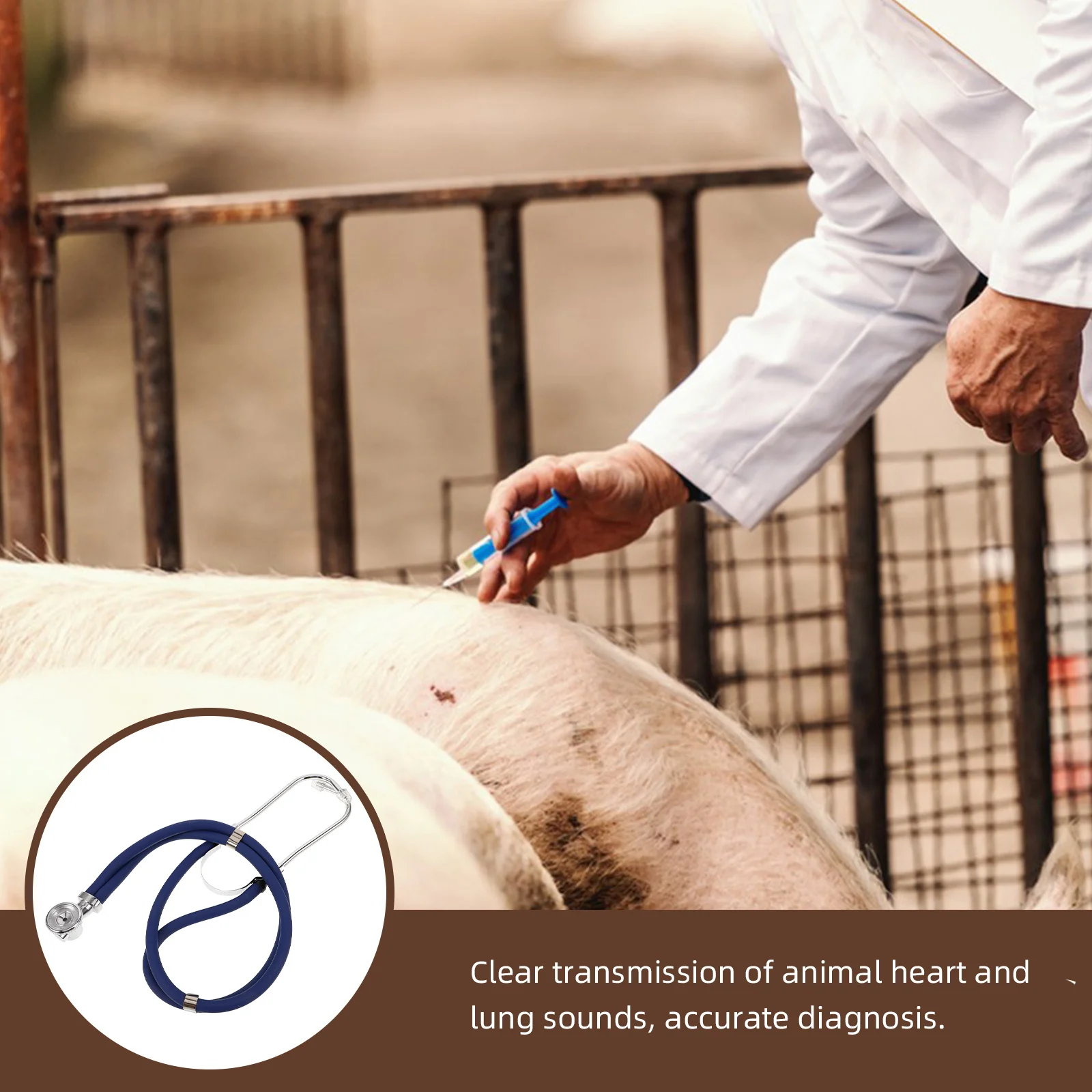 

Dual Tube Vet Stethoscope for Farm Animals Durable Portable Stainless Steel Stethoscope for Livestock Veterinary Use