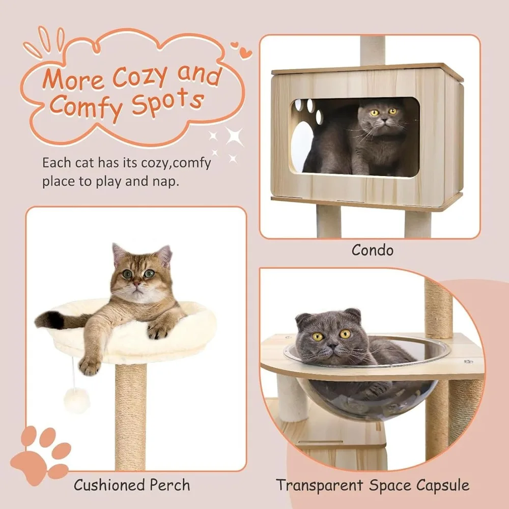 برج نشاط شجرة القطط الداخلي مع عمود خدش للقطط الصغيرة، أثاث حديث للقطط مع سلة وكرة معلقة