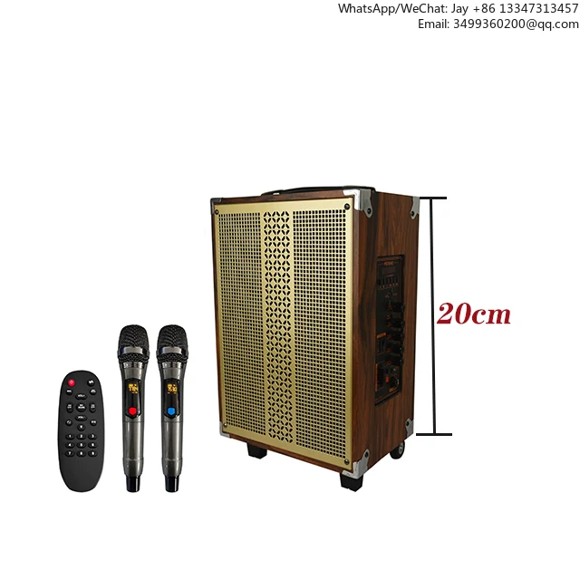 

Big Power Single 8 Inch 100W PA Bass Audio Portable With Wireless Microphone System Blue Tooth Rechargeable DJ Karaoke Speaker