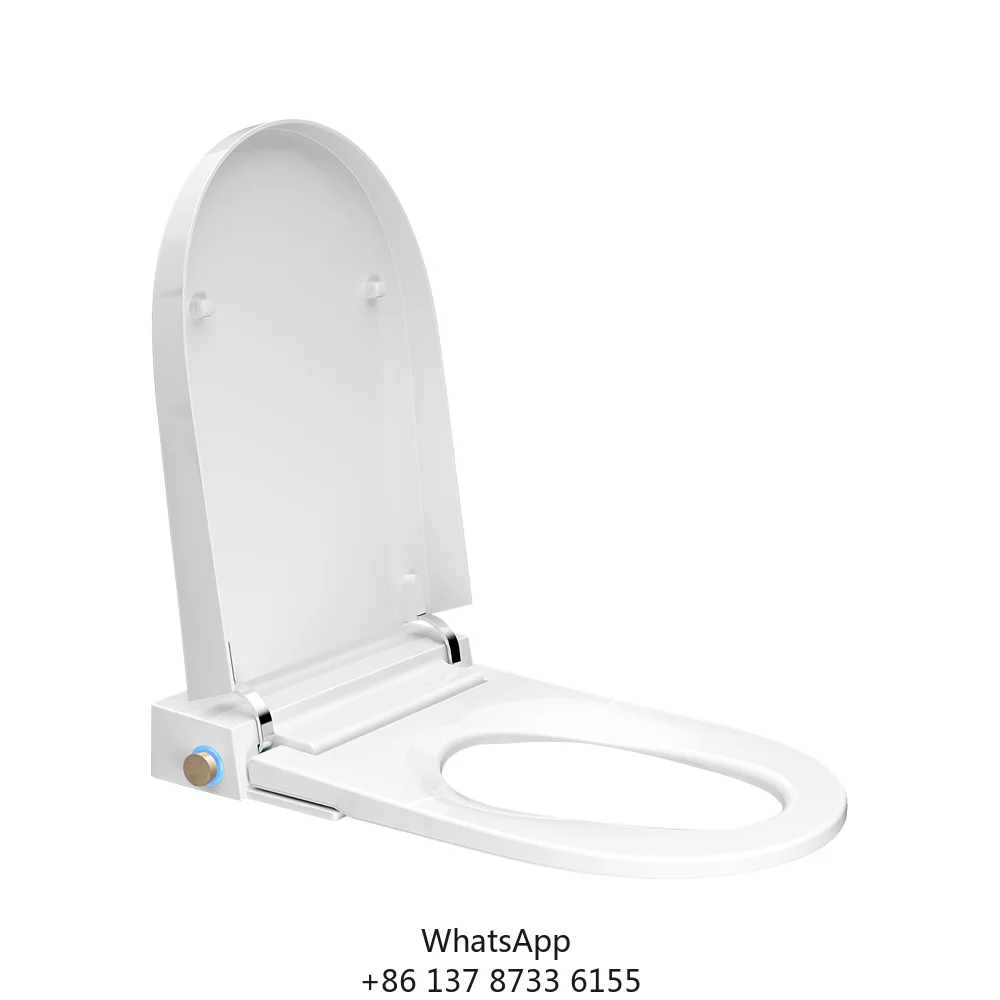 Tejjer Modern Luxury Special Stainless Steel Single Nozzle Auto Clean ABS Smart Toilet Seat