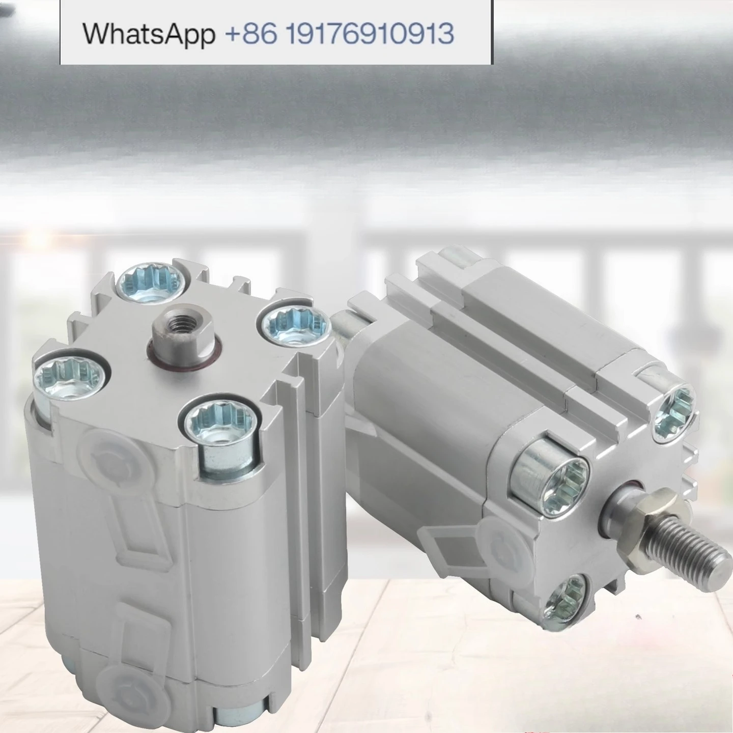Thin Cylinder AEVU ADVU  12  10  16  20  25 32  40  50  63  80 15   I  P   A  P  A