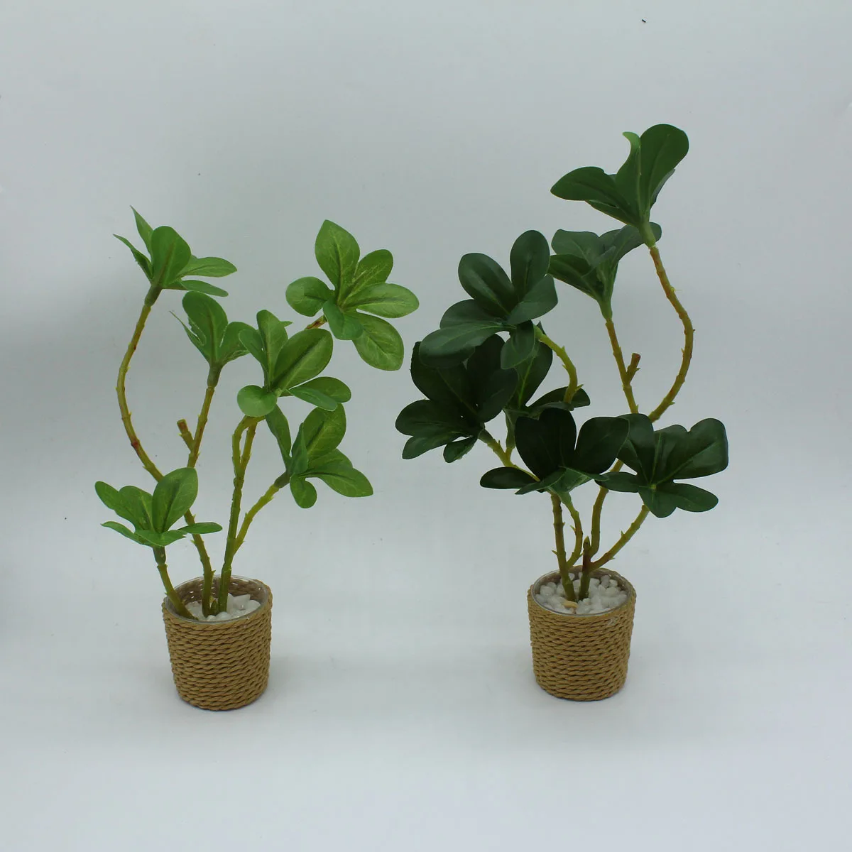 Dollhouse Mini Plant Pot Artificial Monstera Leaf Plant Model Miniature 1:6 Scale Ornament Desktop Decor Decoration Crafts