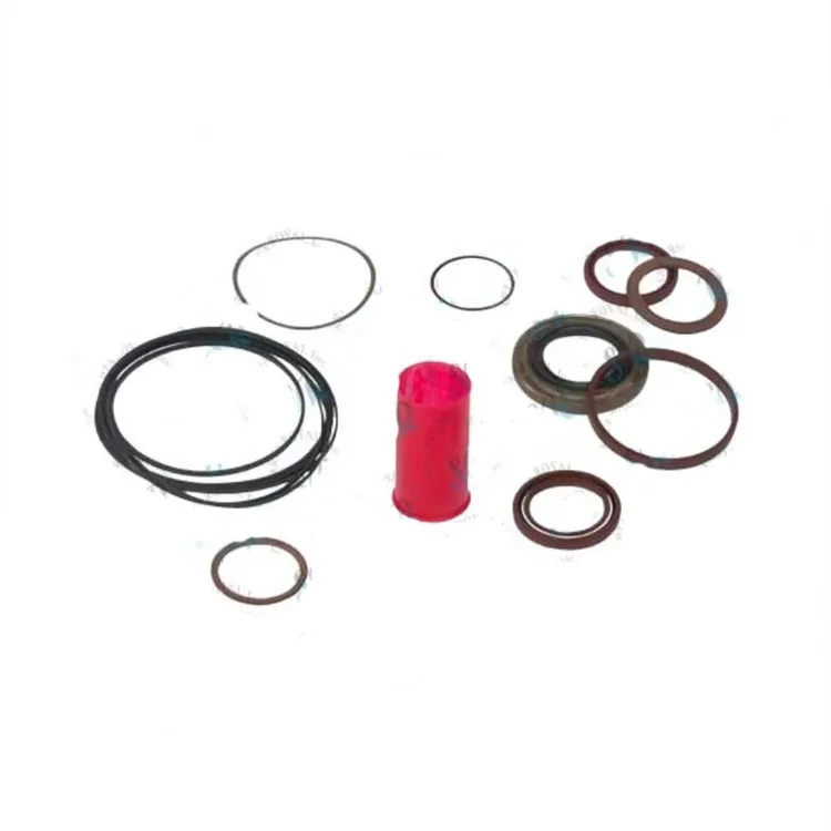 SCHWING High Quality 100% Brand-new Spare Part Seal Set 10076459 for Hydraulic Motor with 1.5 Year Warranty