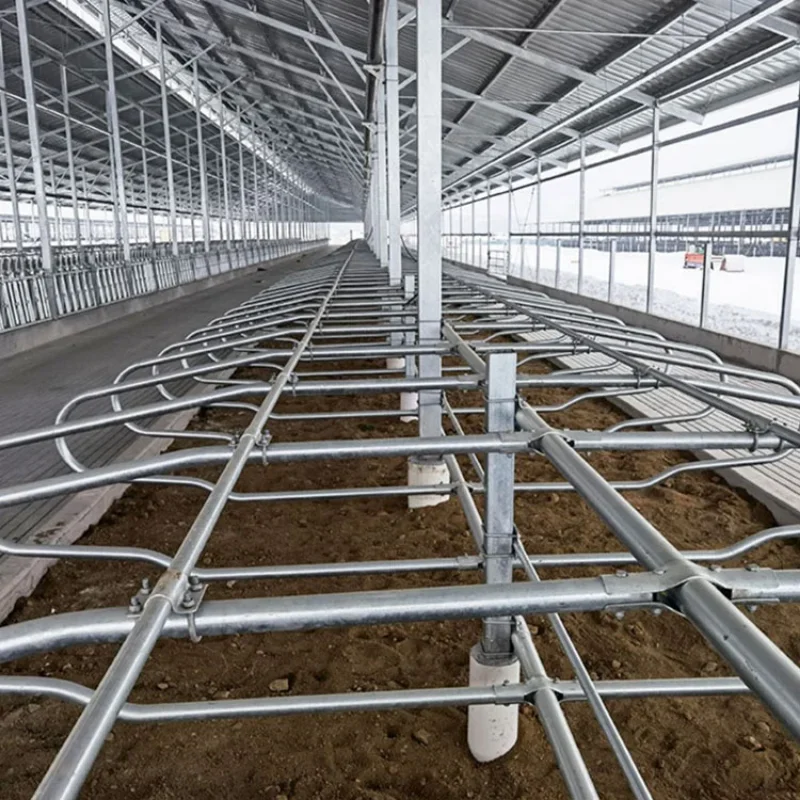 Portable Cow Cubicles Hot Dip Galvanized Cattle Livestock Divided Panels Durable Cow Free Stall For Dairy Farm