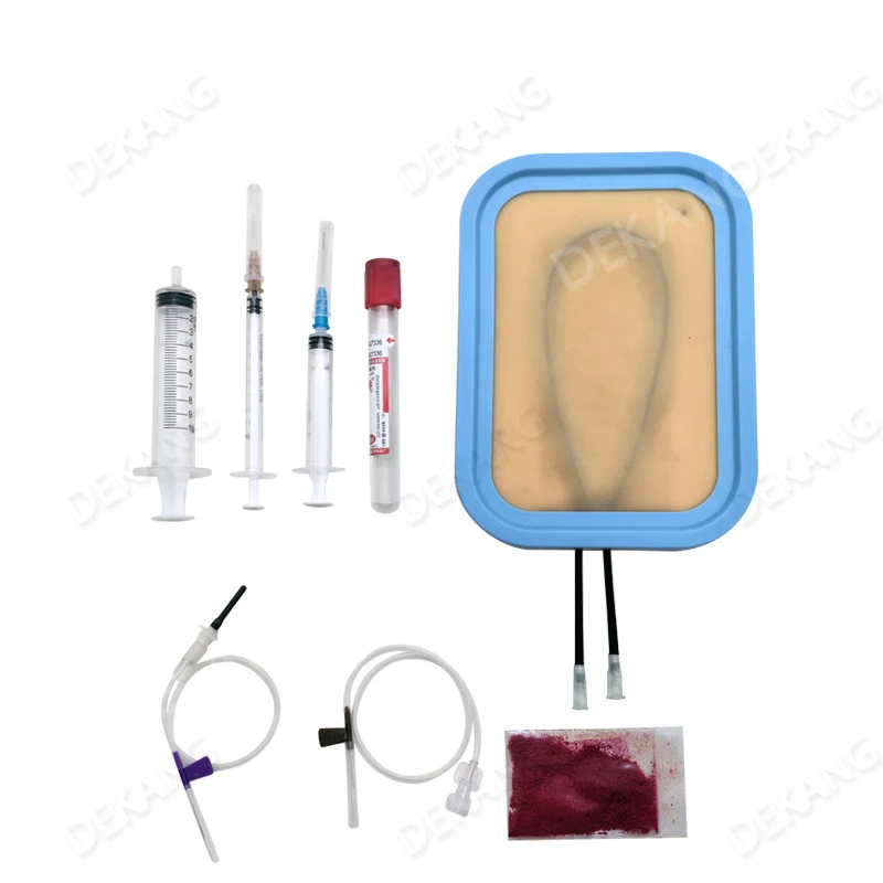 Modello di pratica dell'iniezione dell'infusione Insegnamento dell'ago Inserimento Raccolta del sangue Raccolta del sangue Stampo per la pelle per puntura dei vasi sanguigni