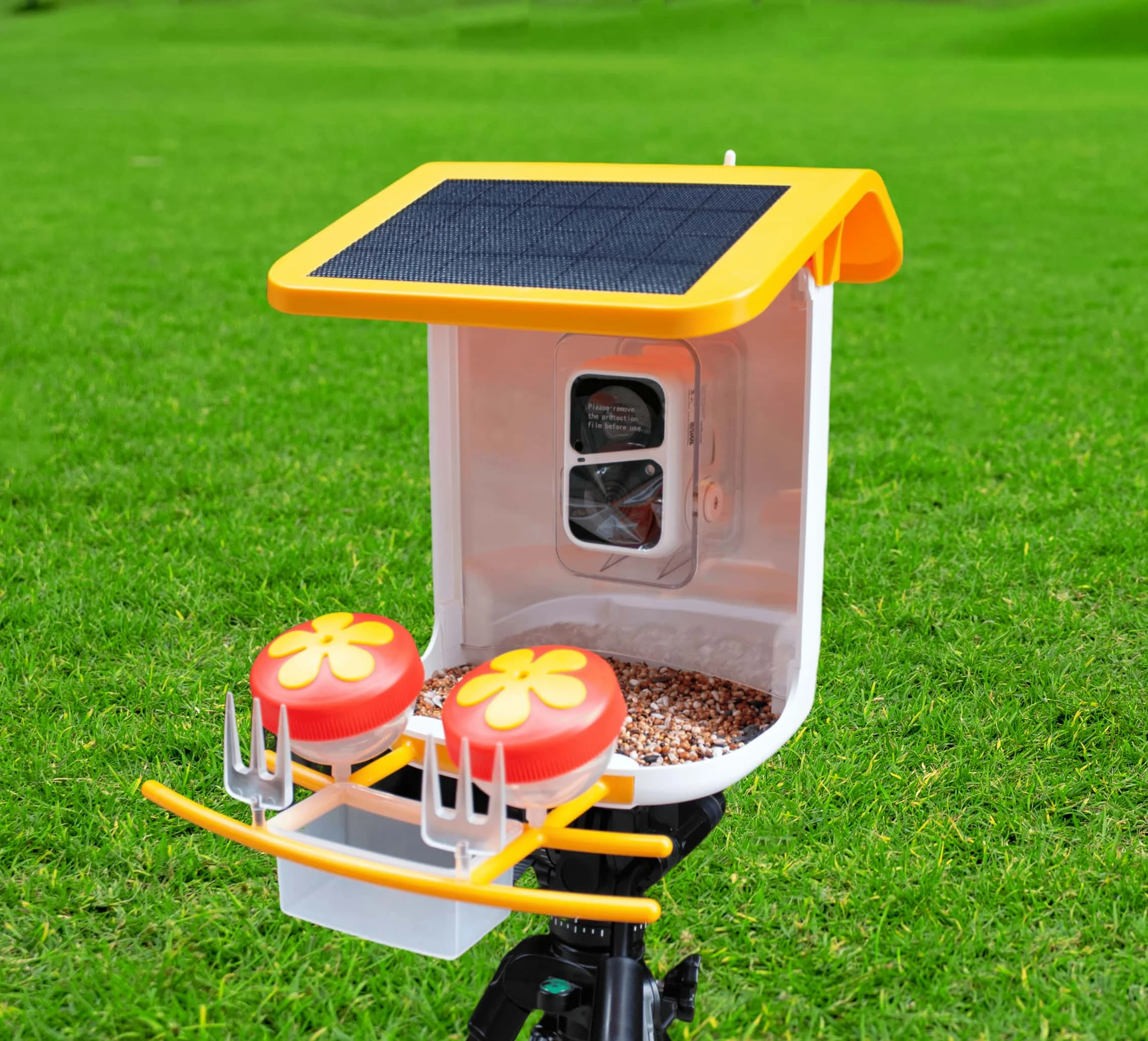 

Bird Feeder Captures Pictures Photos Videos Garden Smart Bird Feeder With Camera