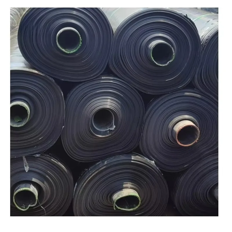 Professional HDPE Geomembrane Waterproof Liner Custom Made for Canal Pond Landfill Mining and Civil Engineering