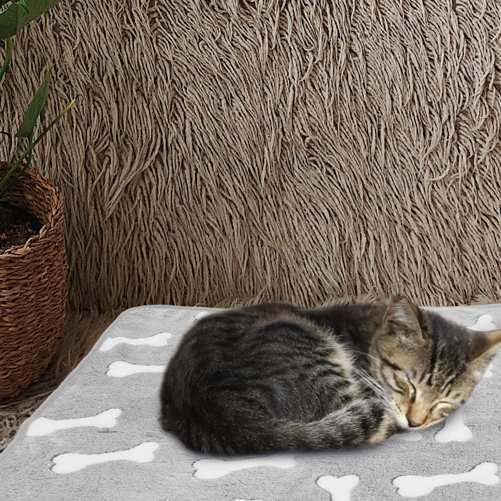 

Coral Fleece Blanket Warm Puppy Dog Cat Pet Blankets Soft Cozy Throw Grey Bone L Winter Cage Mat Small Animal Reusable