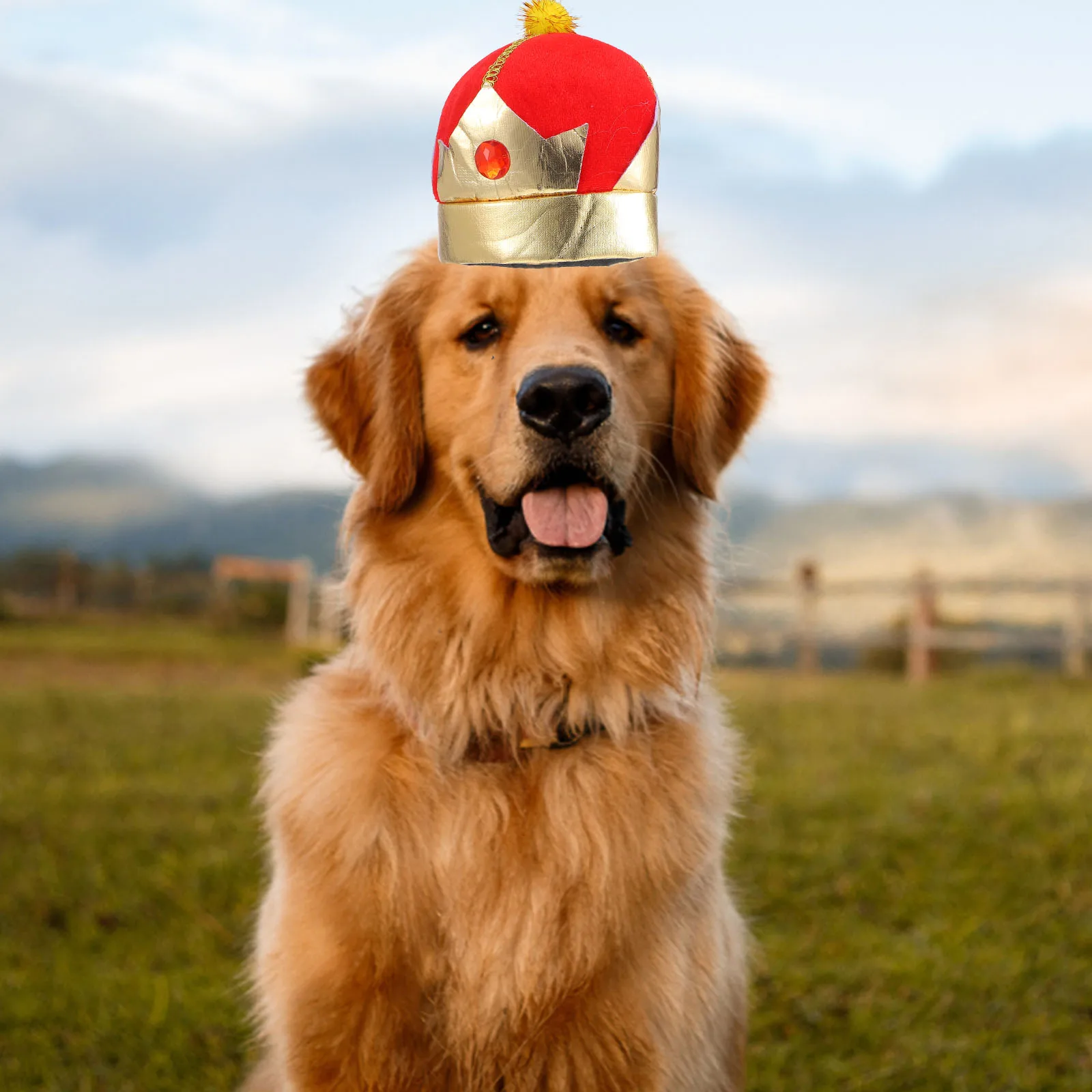 

Hat Dog Cat Crown Adjustable Rope Party Headwear Cloth Puppy Hat Birthday Supply Festival Pet Accessories Cool Photo