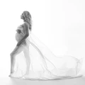 4M Chiffon Fabric