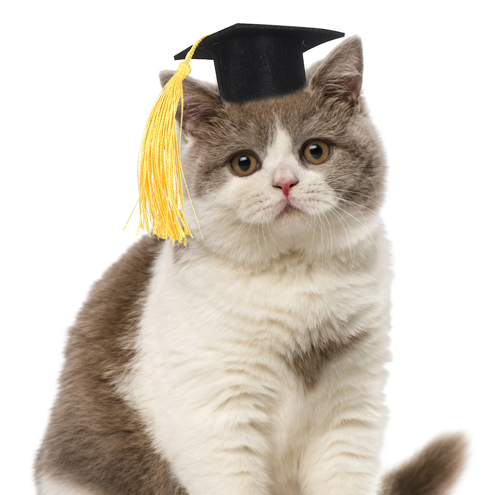 

Pet Doctor Cap Unique Design Comfortable Material Easy To Wear For Cats Dogs Graduation Party Birthday Holiday Decoration