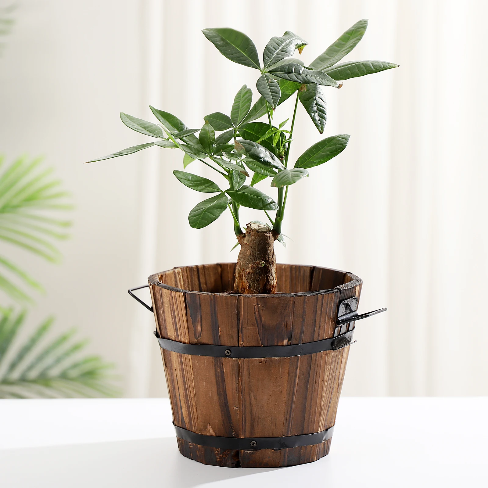 

Large Solid Wood Succulent Flower Pot Round Barrel Planter Eco-Friendly Biodegradable Garden Decor Outdoor Home Bar Coffee Shop