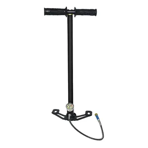 8 Hauptverkaufspumpe PCP 4 Praktikum - №5