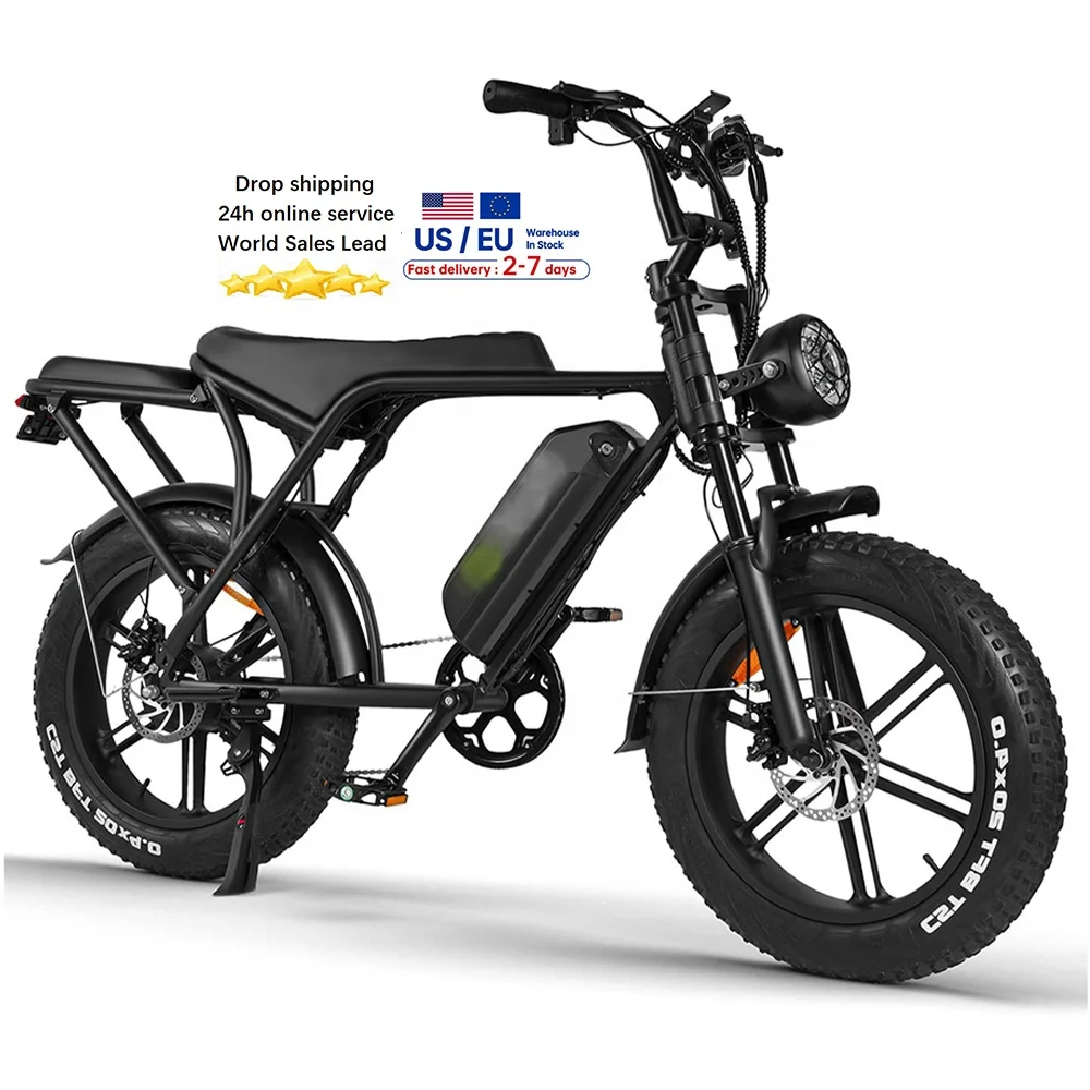 

Fatbike Eu Warehouse Fat Tire E Bike Fatbike 250w E Dirt Bikes For Adults Battery Bike Electric 48v