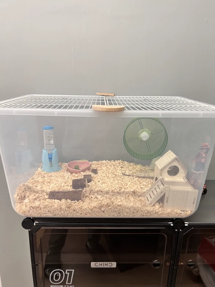 

Large Luxury Hamster Cage for Golden Hamster and Gerbil with High Base