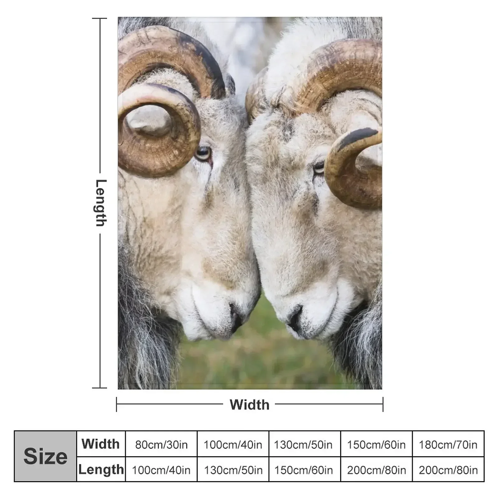 Herdwick Rams Throw Blanket Loose Blankets Sofas Of Decoration Blankets