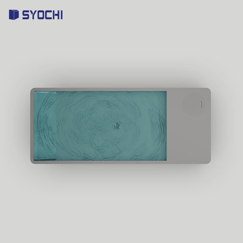 Syochi Factory Prices All in One Stainless Steel Cold Plunge Tub with Chiller and Filter for Ice Bath Recovery