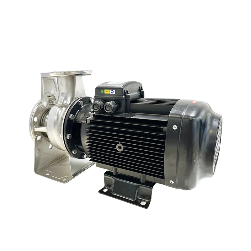 Large Swimming Pool Stainless Steel Water Pump for Water Circulation and Filtration DSL-SUS125-80- 160/11T