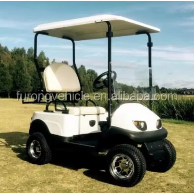 2000w with Canopy  Small Single Seat Golf Cart Drive Golf Car