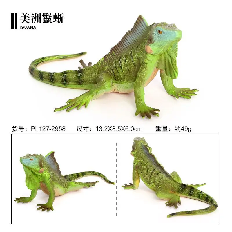 Simulado modelo de réptil selvagem lagarto sólido estático iguana americana brinquedo de plástico ornamento cognição infantil