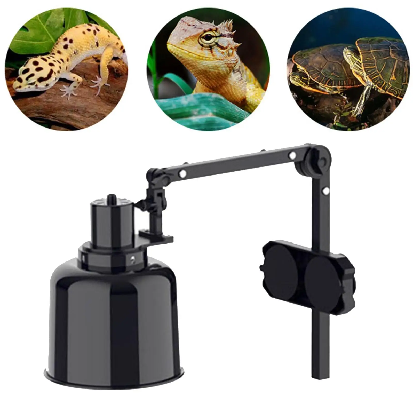 

Metal Lamp Support for Invertebrates Vivarium Glass Terrarium Dome Lampshade