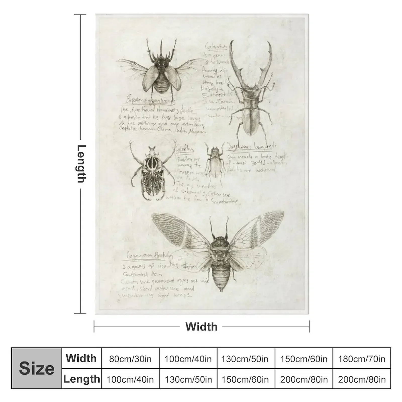 insects Throw Blanket Kid'S Softest Luxury St Fashion Sofas christmas gifts Furry Blankets