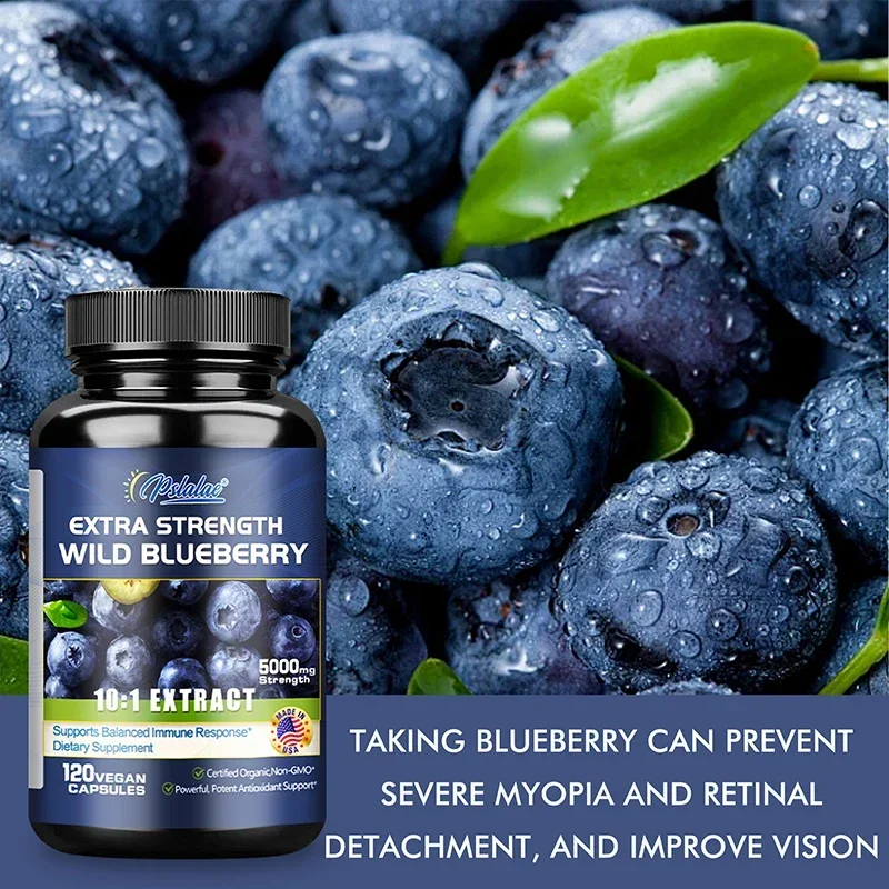 Wild Blueberry - Promotes Brain Health and Cognitive Function, Improves Memory, Antioxidant