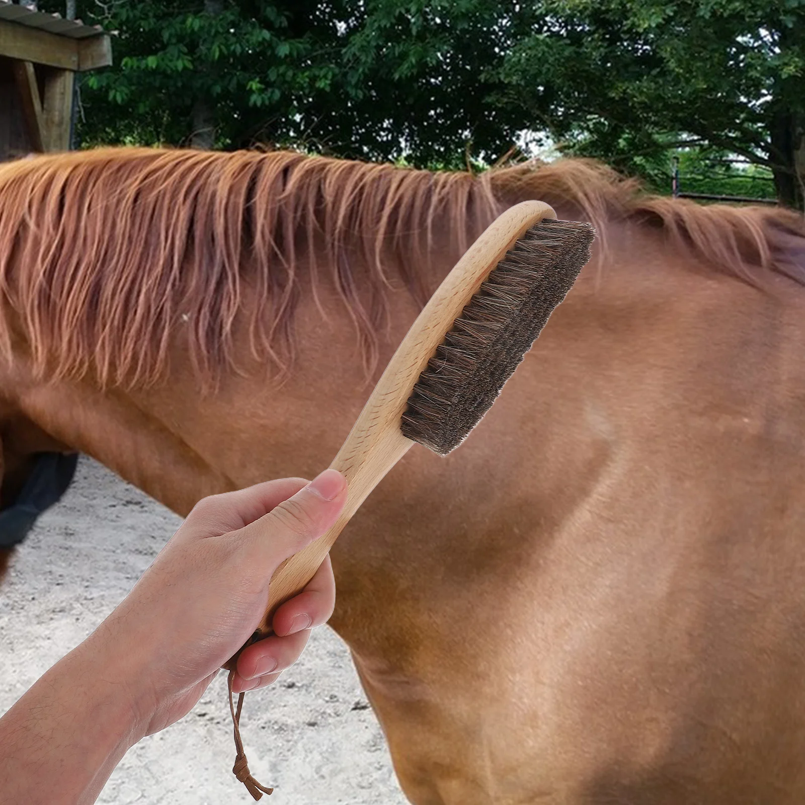 Cepillo de crin con mango de madera, suave sobre telas, eficiente, para quitar trajes, chaquetas, cepillo de crin de caballo