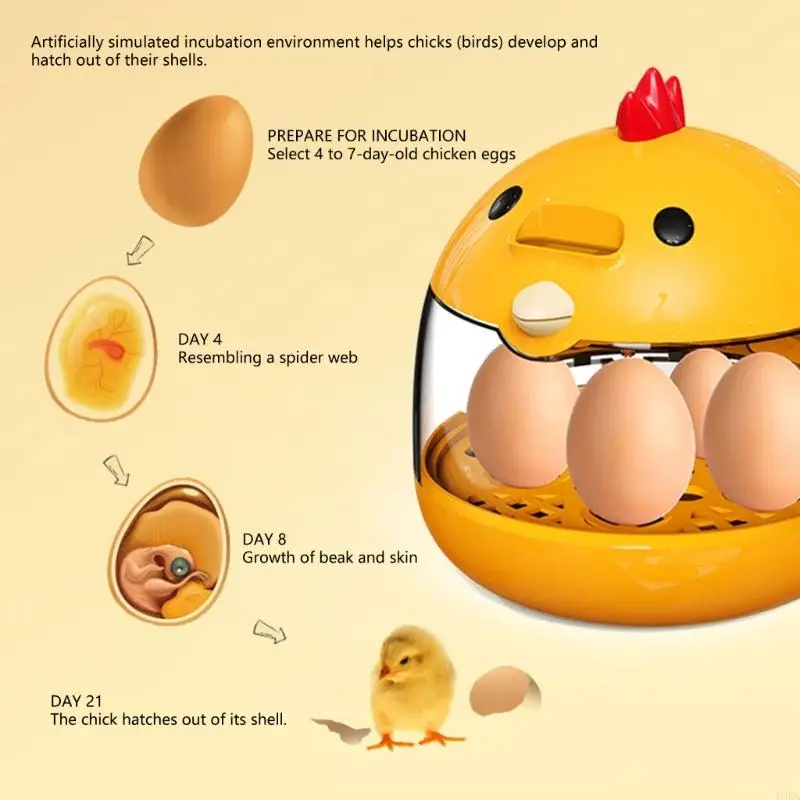   5 Eggs Full Automatic Poultry Incubator Intelligent Incubation Eggs Incubator
