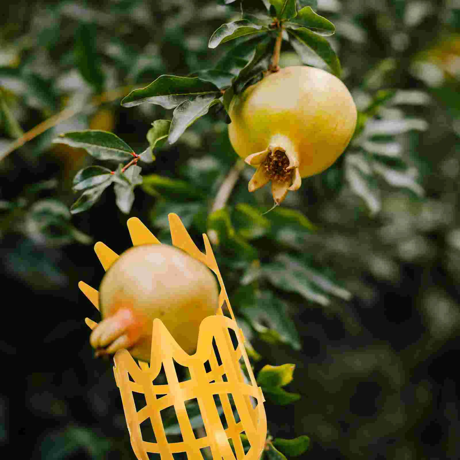 2 Pcs Fruit Picker Persimmon Picking Devices Pear Tools Baskets Jujube Pickers Detachable Garden