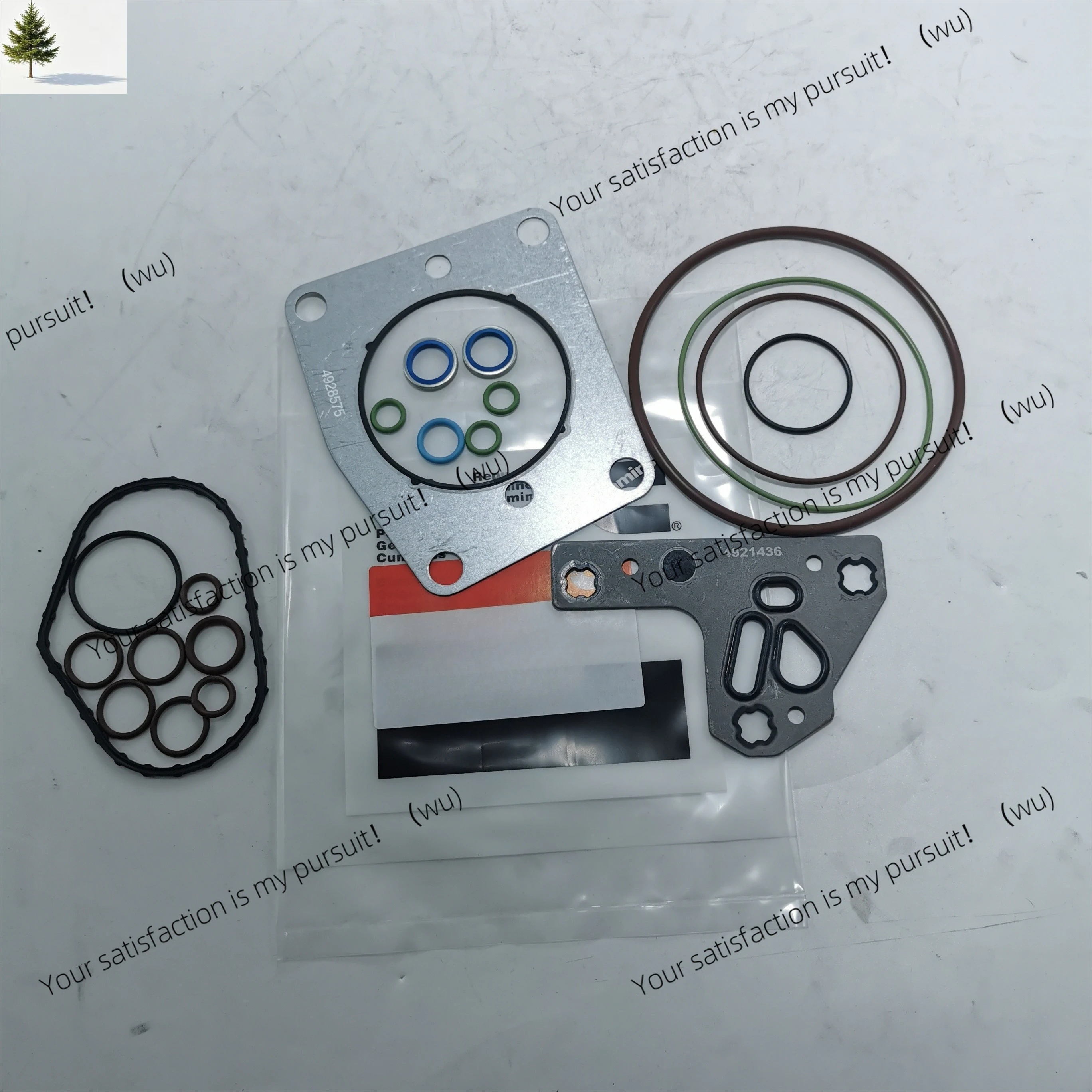 

For Fuel Pump Service Kit, CP2, CCR1600 3973228 4921431 4088604 49544200531117167451150