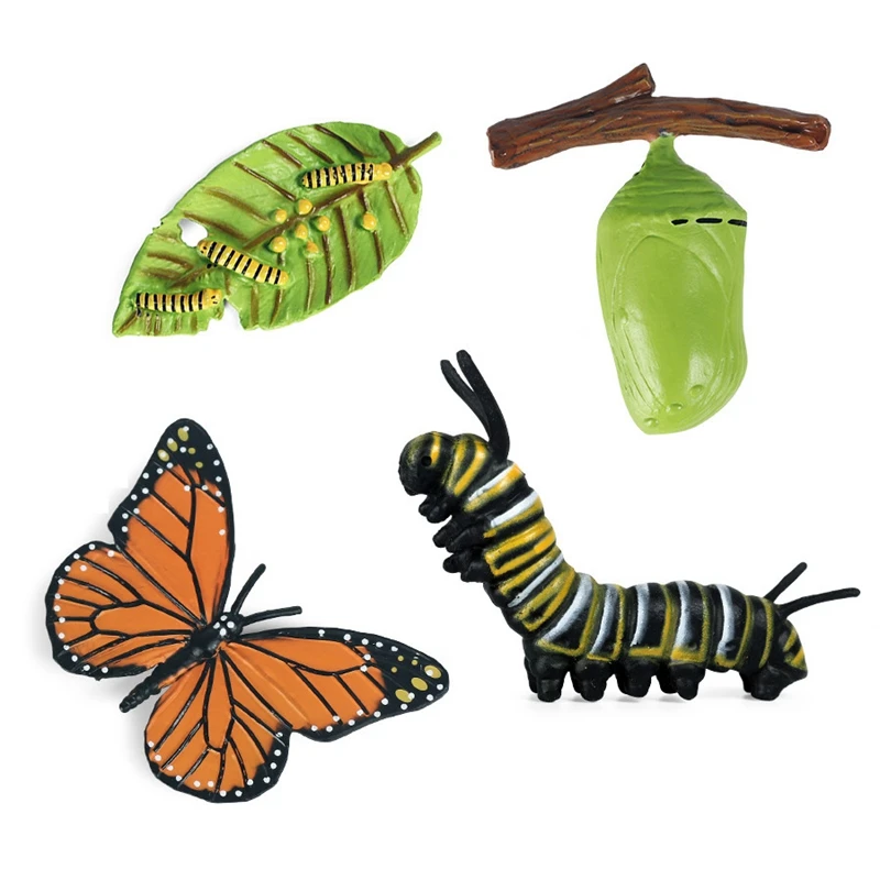 Simulación del ciclo de vida Estatuilla de un ciclo de crecimiento de mariposa Insectos Animales Ciencia de biología educativa