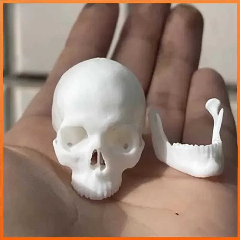 1/6 Scale White Uncolored Head Skull Skeleton Scene Accessory Model for 12in Action Figure Toys Display Crafts Decorations