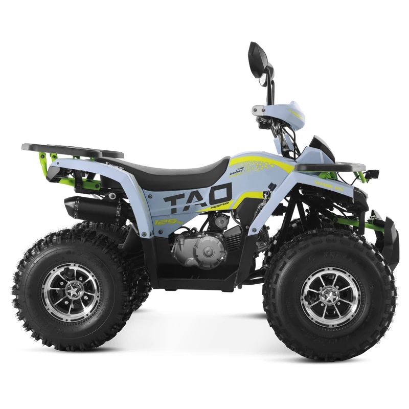 Tao Motor 2025 New Alloy Rim Chain Drive Automatic 1+1 125cc ATV Chinese Cheap Farm ATV 125