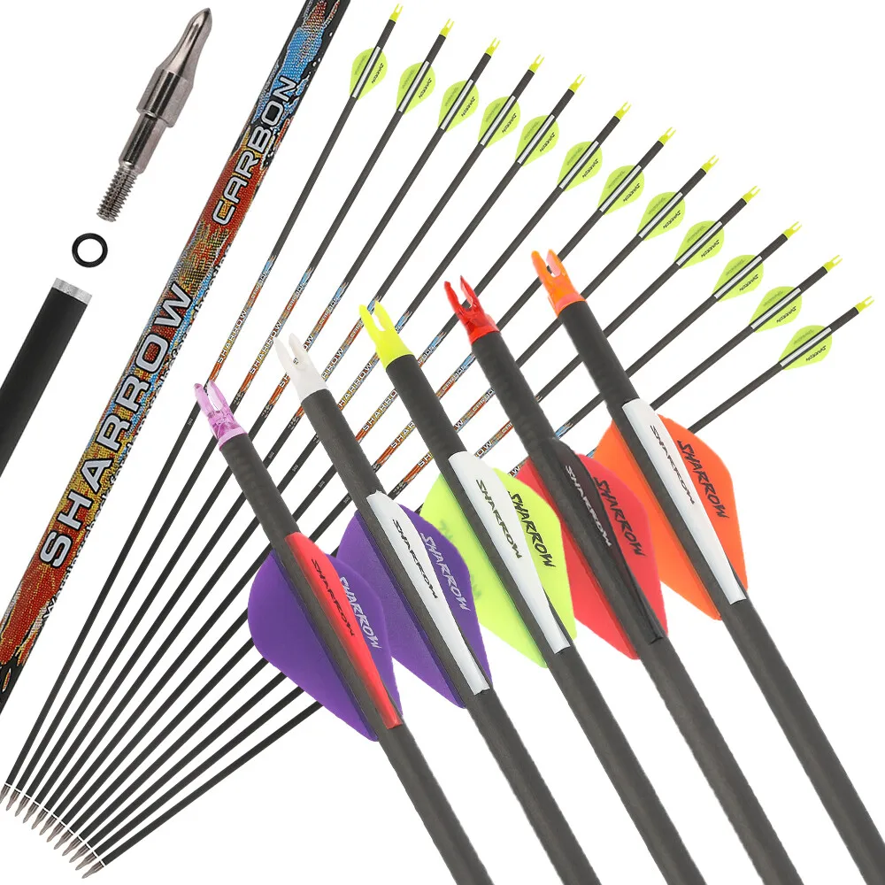 

12pcs Pure Carbon Arrow Spine250-600 ID6.2mm 31inch Shaft with 100Gr Replaceable Arrowhead for Bow Hunting Accessories‌