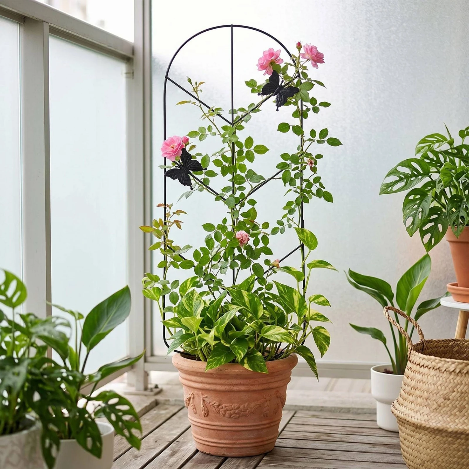 2 Pieces Garden Trellis with Stakes Metal Climbing Plant Support Plant Support Frame Black Arched for Gardeners, Pots, Planters