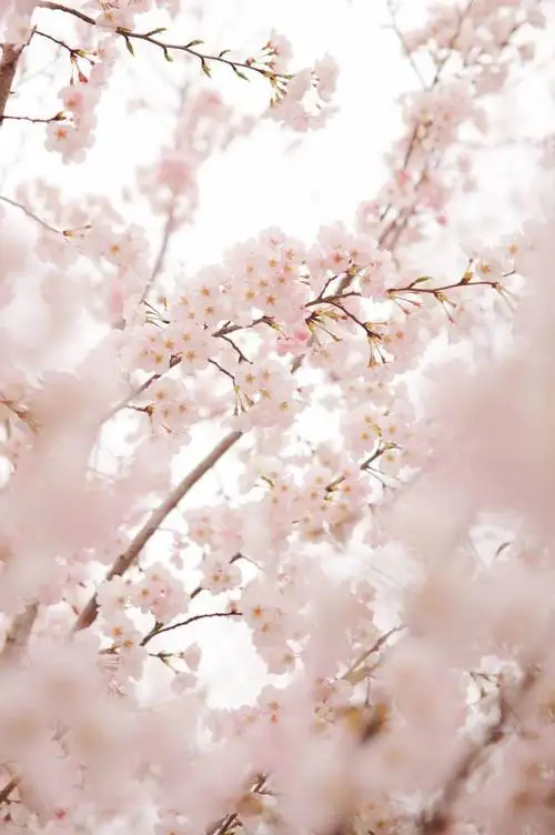 

5V USB Fan Mist Maker With LED For Air Conditioning Home Decoration Water Fogger Machine Colorful Lights Landscape Spray Garden