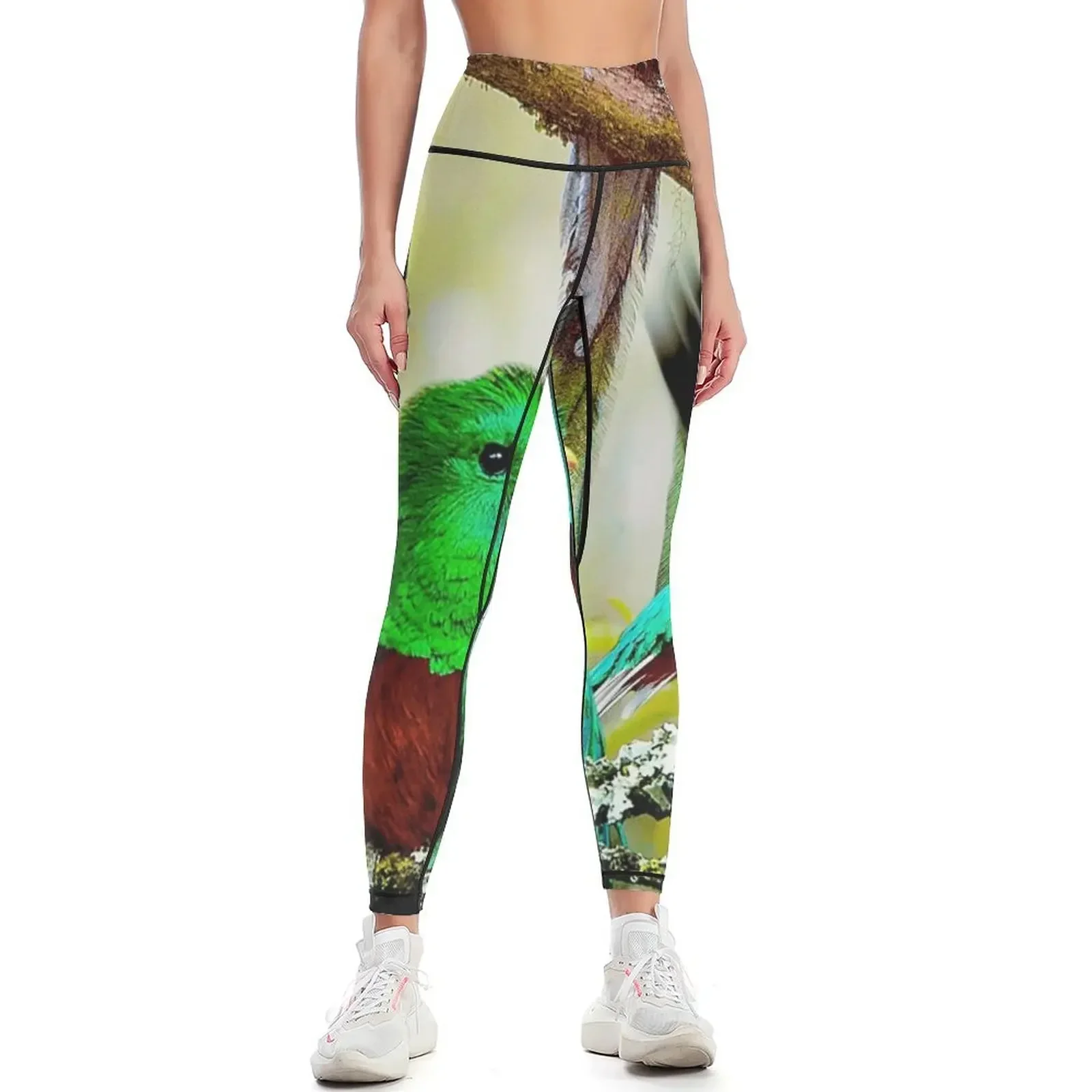 

Quetzal Leggings sports woman gym Fitness woman push up fitness Women's gym Womens Leggings