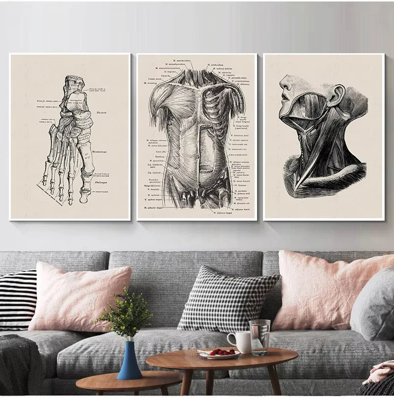 Poster Scheletro: Un’Opzione Unica per Decorare lo Spazio con Arte e Scienza