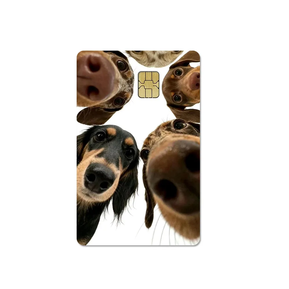 Kawaii Cute Dog Popular Wiener Dog Credit Card Skin Sticker Waterproof DIY Bank Card Campus Card Student ID Card Gifts