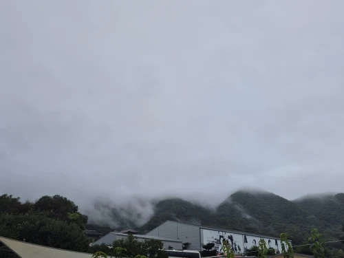 리뷰 사진