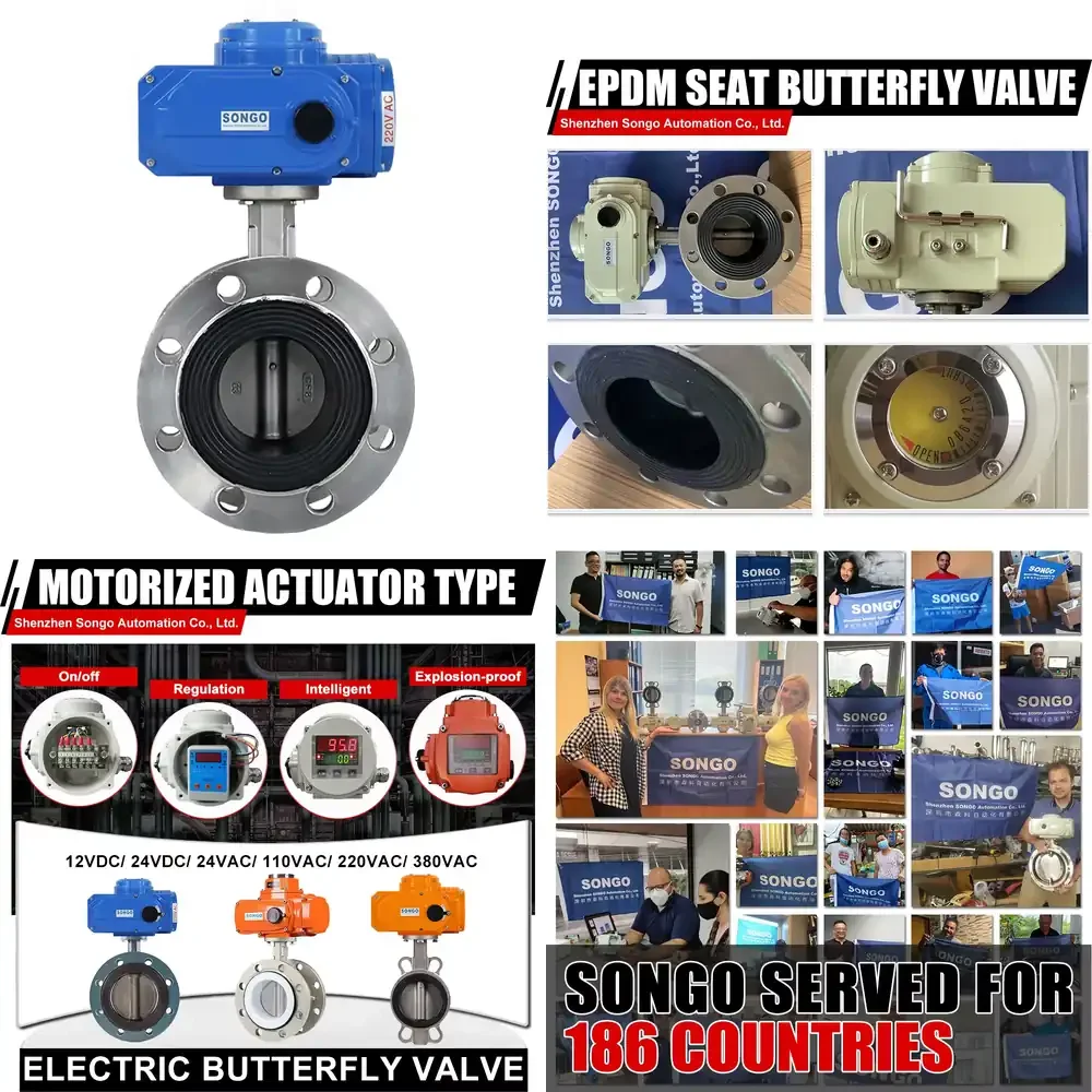 Stainless Steel SS304 Body DN80 3 Inch EPDM Rubber Sealing Electric Motorized Double Flange butterfly Valve