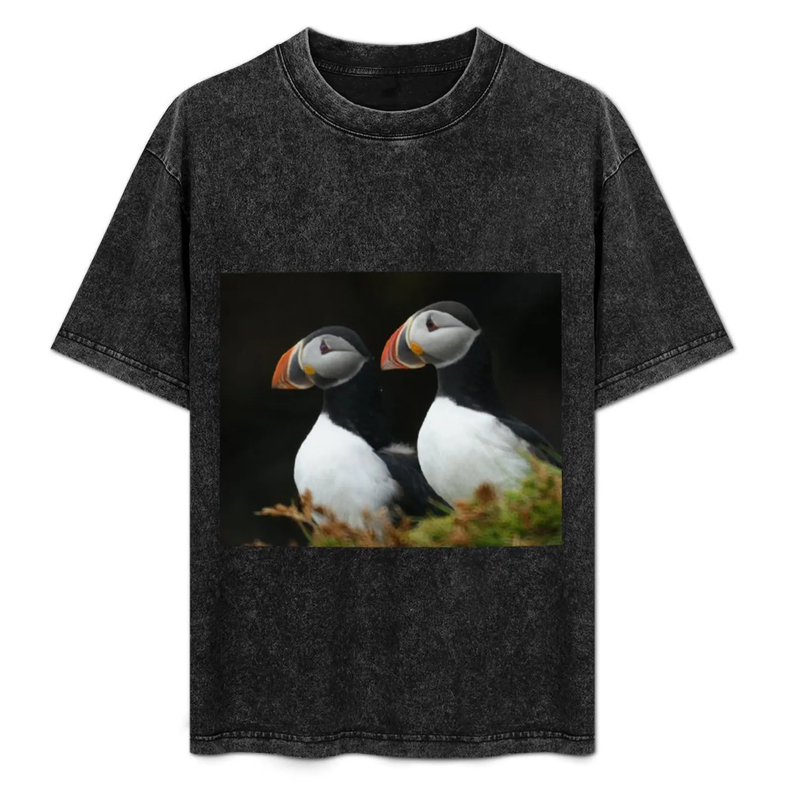 

Companionship T-Shirt man clothes blue archive plus size clothes fruit of the loom mens t shirts