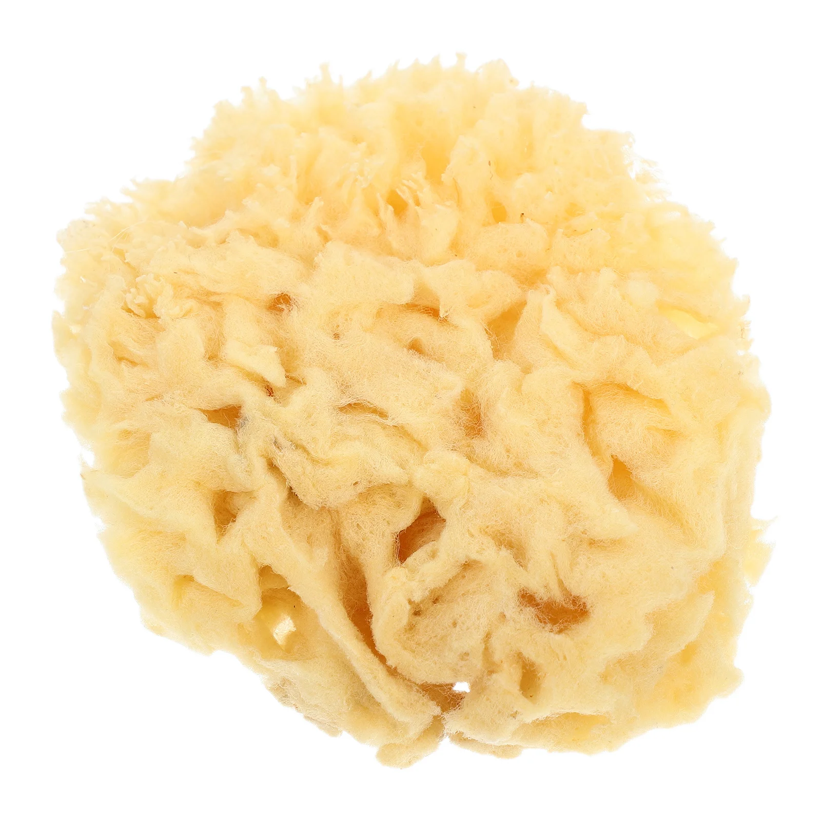 Natural Sea Sponge 2.0-2.5 Inch Soft Absorbent Painting Sponge For Watercolor Acrylic Texture Wall Art Craft Reusable