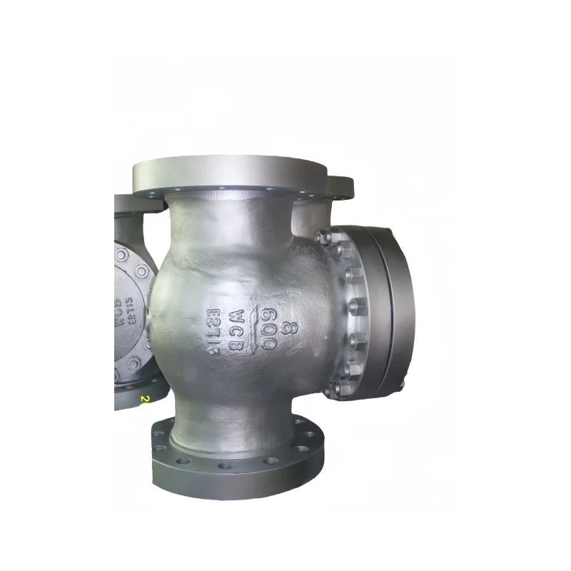 Manual Swing Check Valve with Gate Control for Water and Oil Media