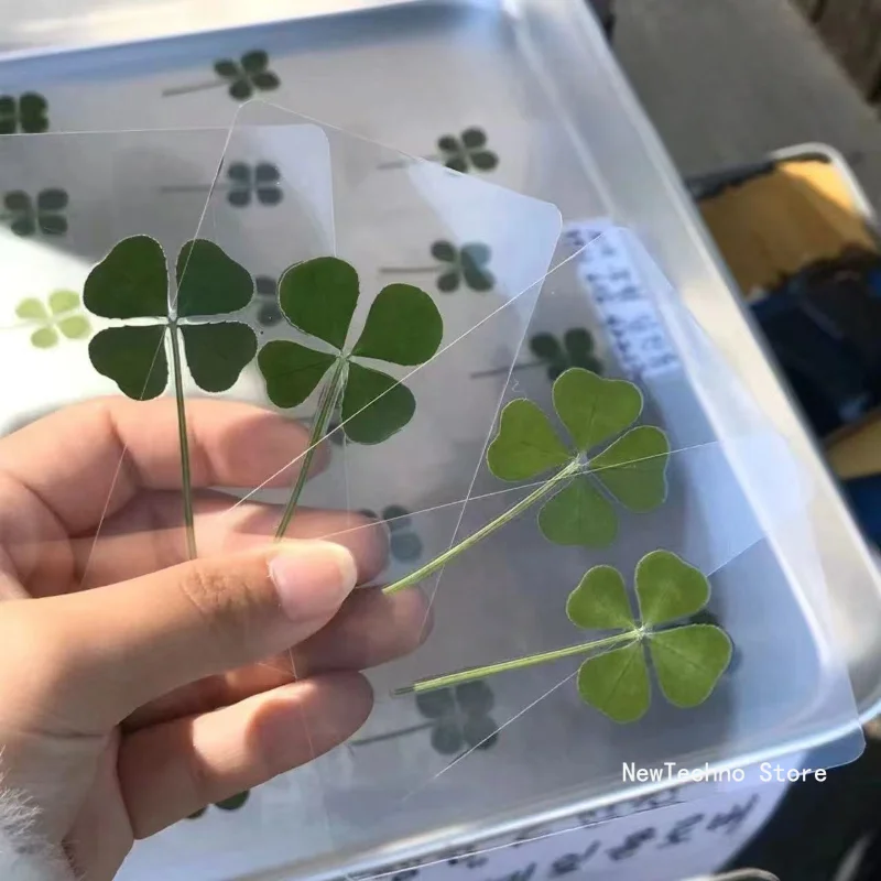 1pcs Lucky Clover Postcards Natural Grass Transparent Wishing Cards Ideal for Bookmarks & Decorations Perfect Holiday Gifts