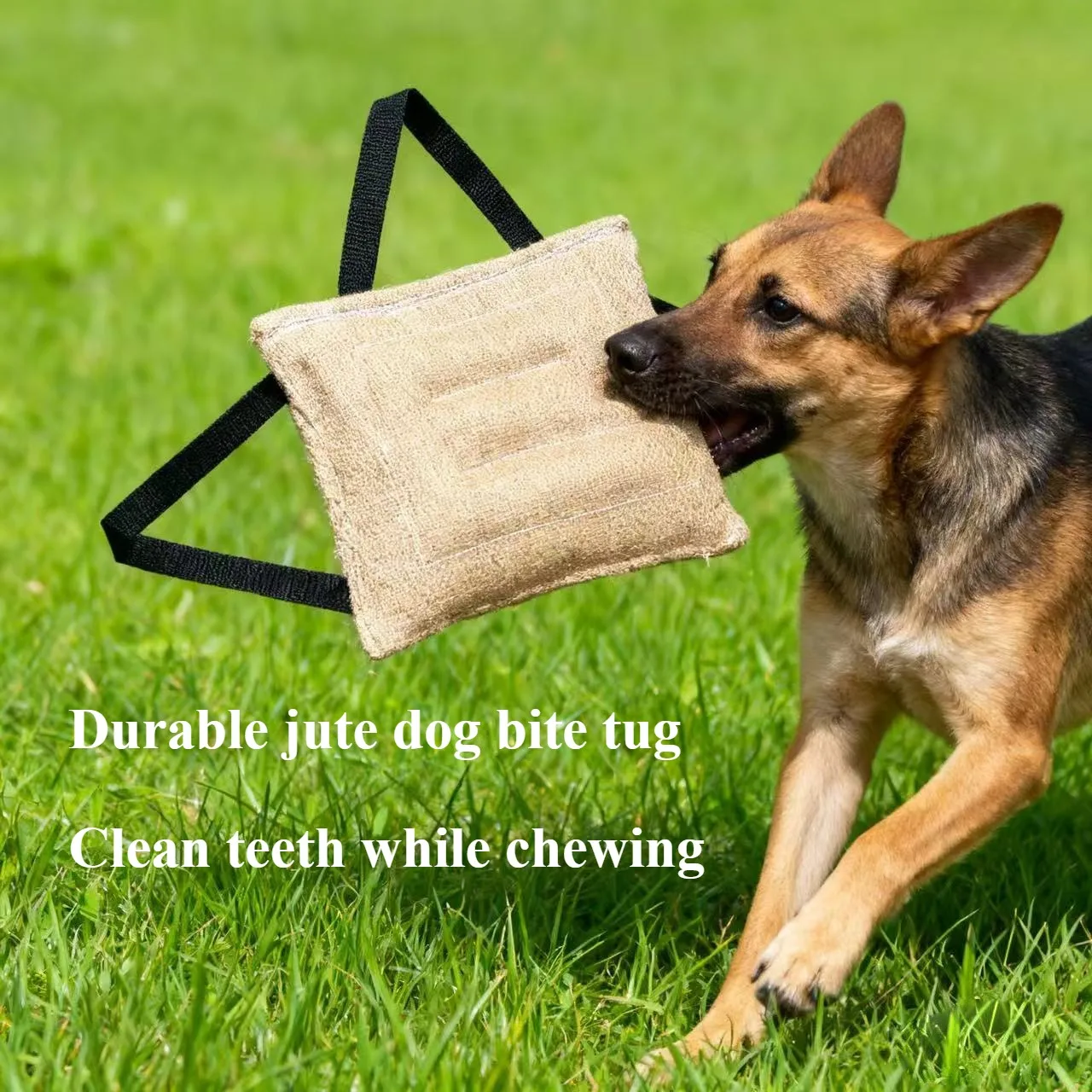 Thumbnail 2 - #7 Top Puppy Tug Toys Picks for Every Budget