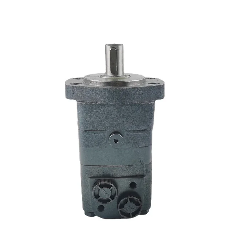 

Supply Hydraulic Motor BMS Bmsy Cycloidal Hydraulic Motor Can Replace OMS Small Size and High Efficiency