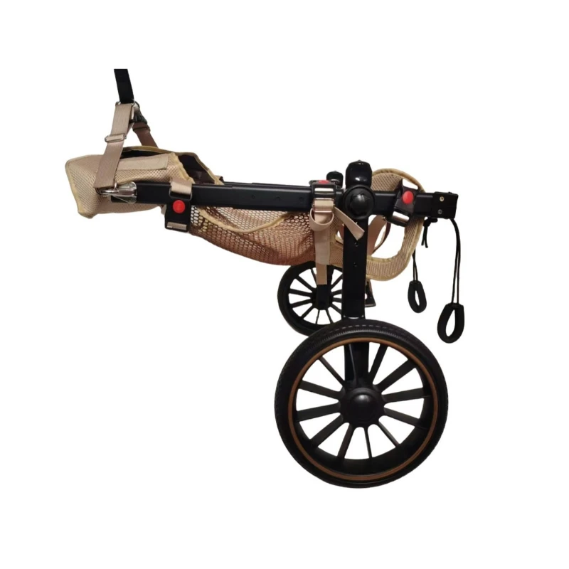 

Pets, wheelchairs, rehabilitation, walking aids, mopeds, scooters