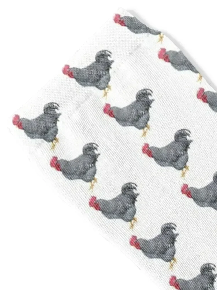 Barred Rock Rooster Socks custom sports Lots floral funny gift Socks Man Women's